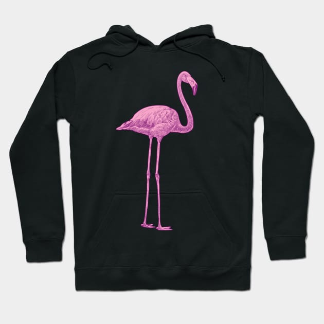 Pink flamingo Hoodie by StefanAlfonso